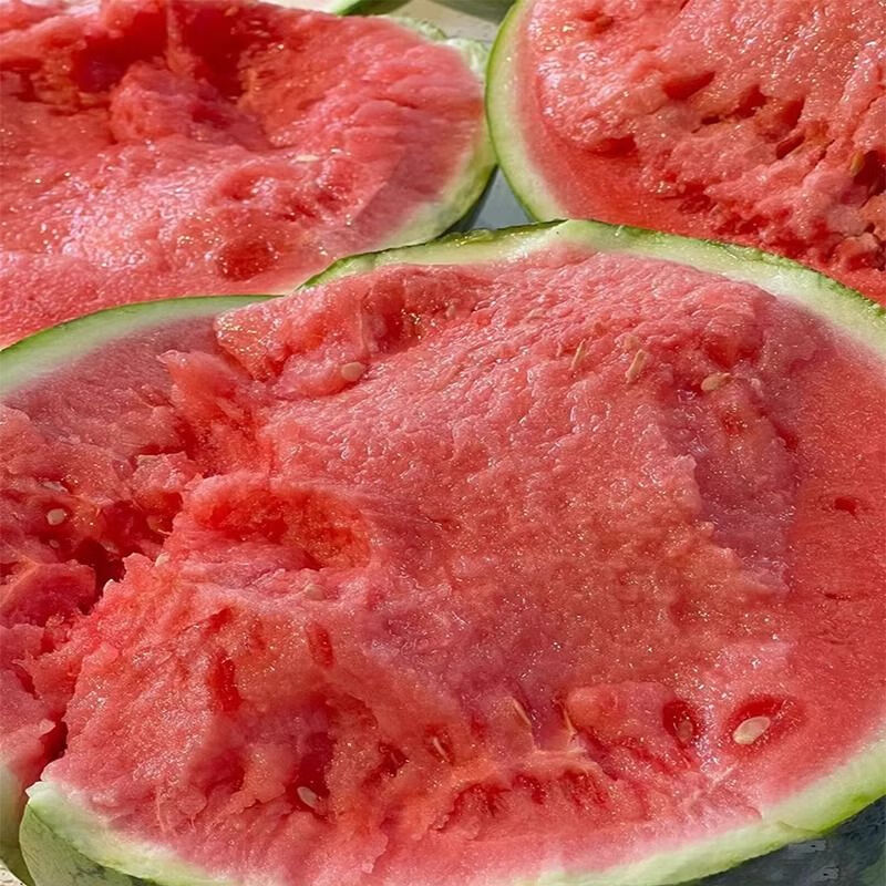 ˹GEWOSIˮ8424ͷ籡Ƥժַ 5-6ժȷ 43.8Ԫ