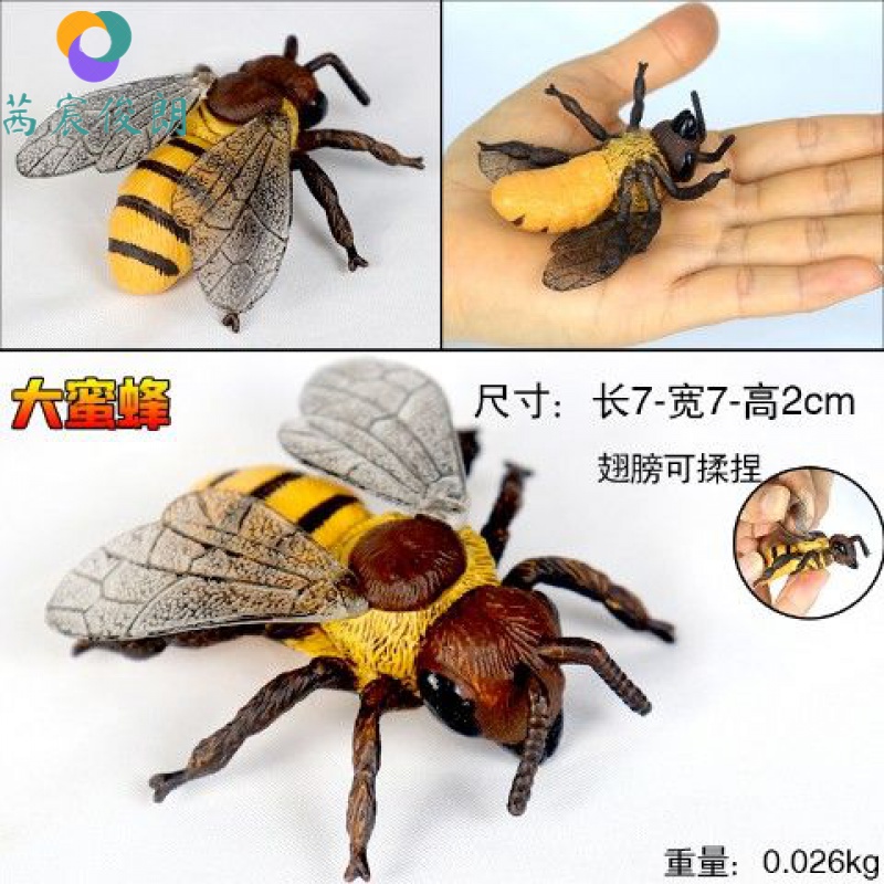 昆虫标本 标本礼物仿真昆虫动物蜜蜂模型玩具塑胶标本胡蜂儿童科教育