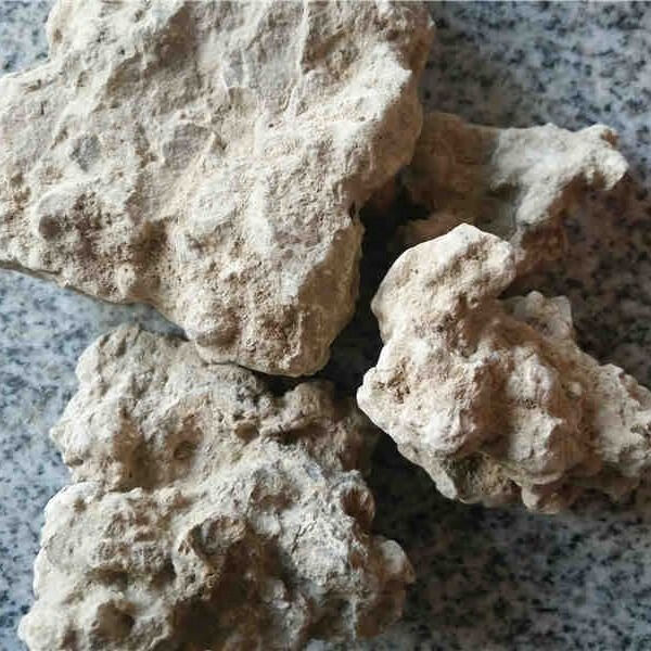 内廷上用北京同仁堂原料料姜石中药材 500克包邮 姜石 沙姜礓砺 蛎裂