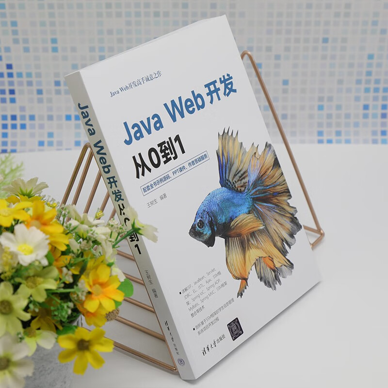 Java Web开发从0到1