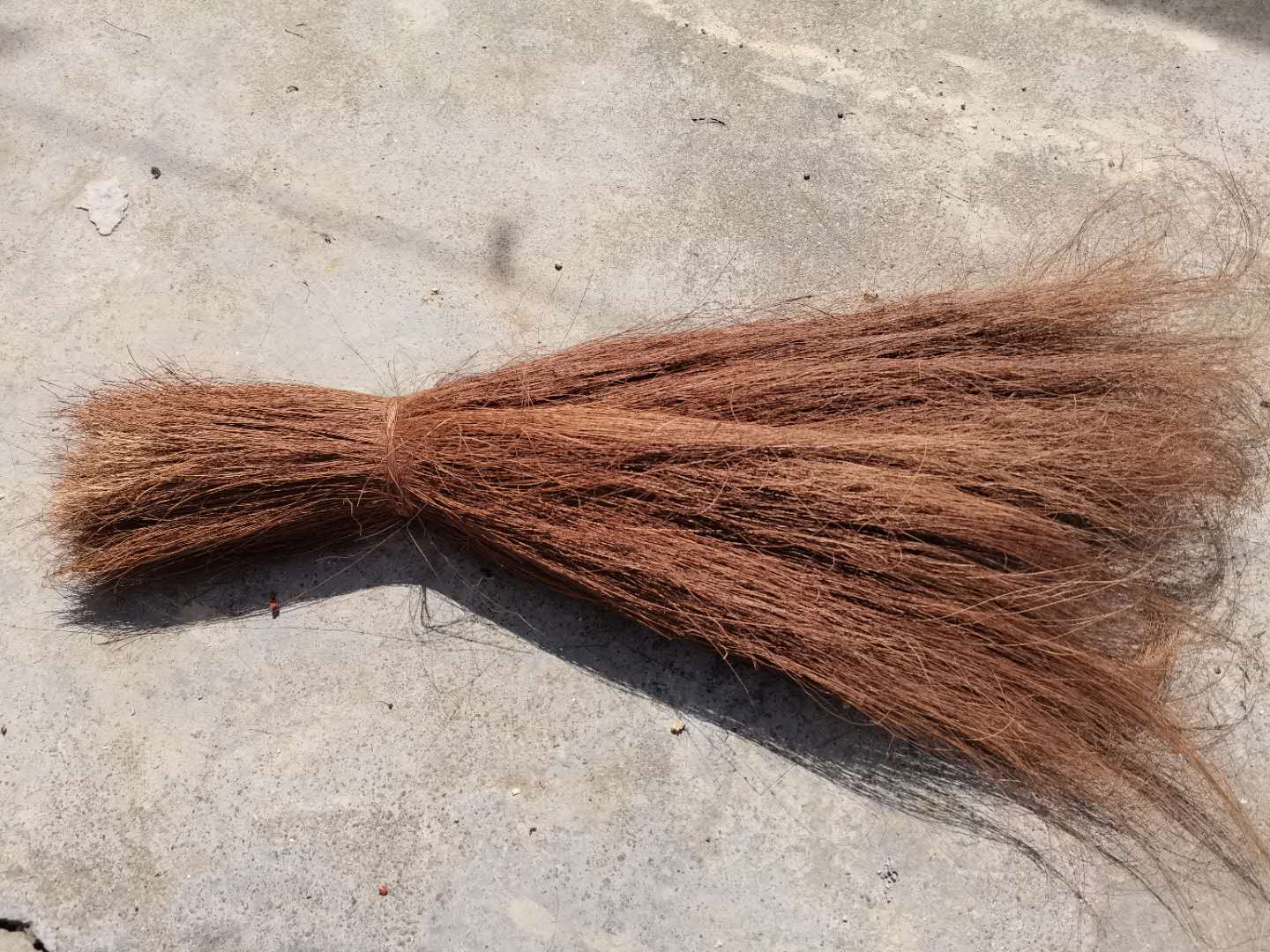 棕榈丝山棕丝鬃毛道士拂尘泥塑形粽丝鸟窝编织污水质过滤园艺垫材 长