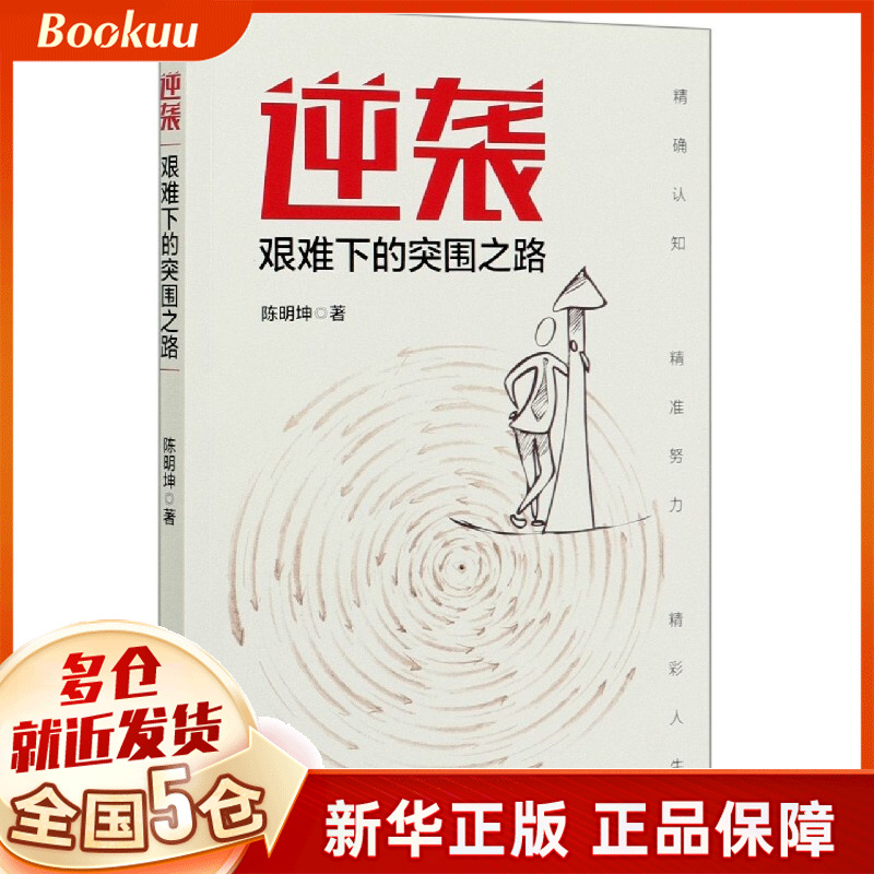 逆袭(艰难下的突围之路)