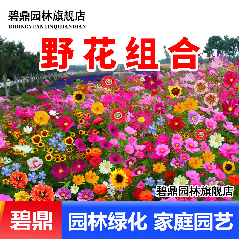 京东实时热销榜 2023-03-23 - 第22张 | 最新购物优惠券 京东实时热销榜 2023-03-23 - 第22张 | 最新购物优惠券