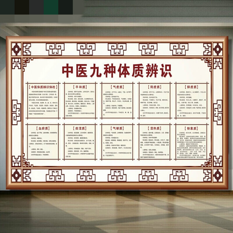 中医海报挂图九种体质辨识馆宣传画挂画中医图片墙画 主图经典款 110x