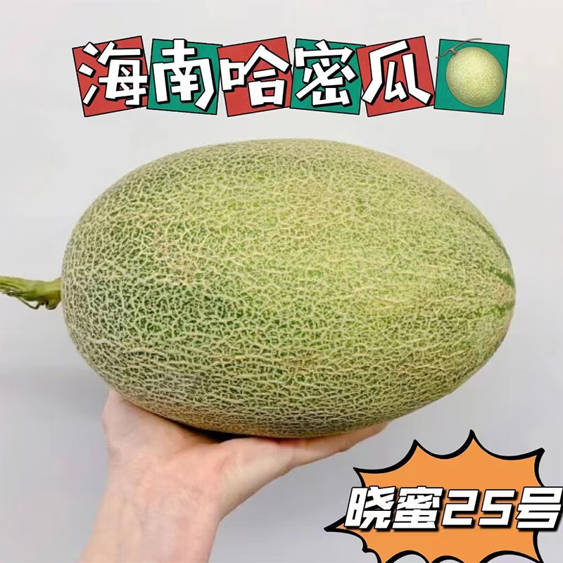 田园东方西州密瓜 应季新鲜水果（按压有弹性再食用） 哈密瓜带箱 5斤装（净重4.5斤）约2个