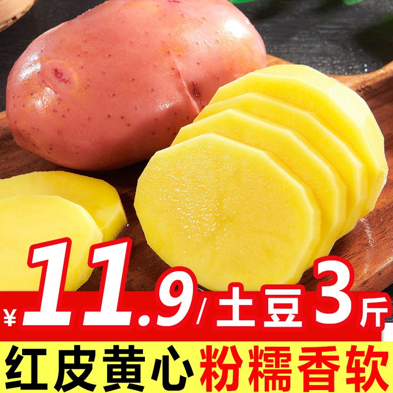 土豆红皮黄心洋芋马铃薯大土豆新鲜蔬菜 红皮土豆3斤