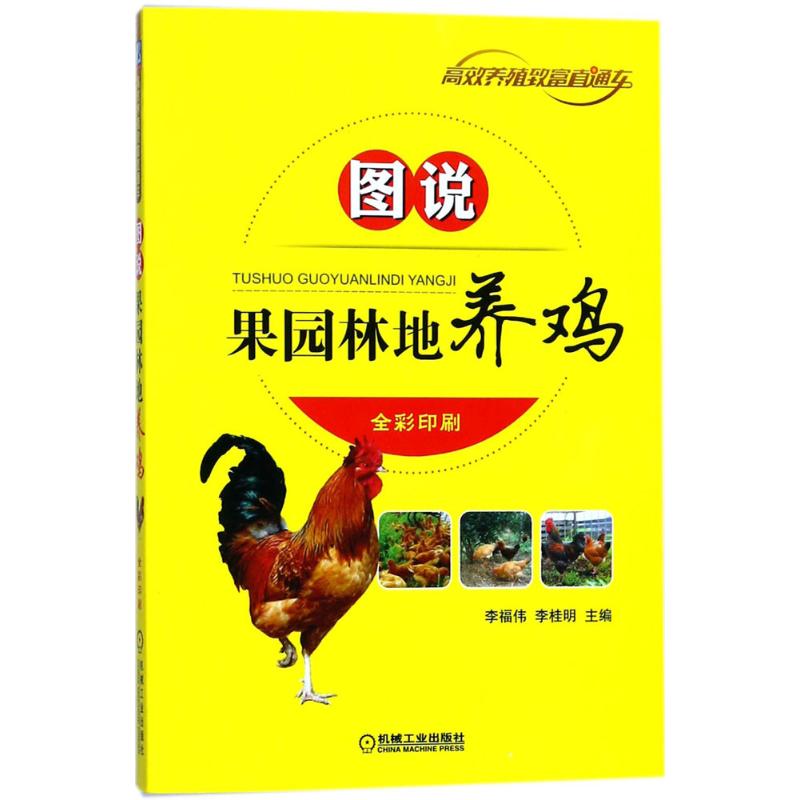 图说果园林地养鸡