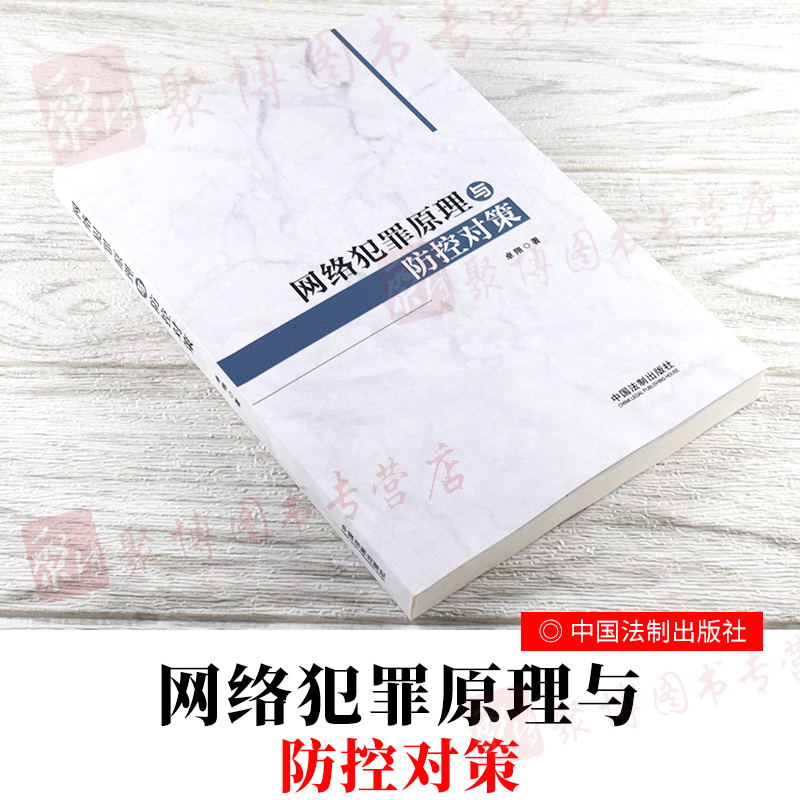 2020书网络犯罪原理与防控对策网络犯罪领域著作网络犯罪理论信息技术犯罪学原理防控对策网络