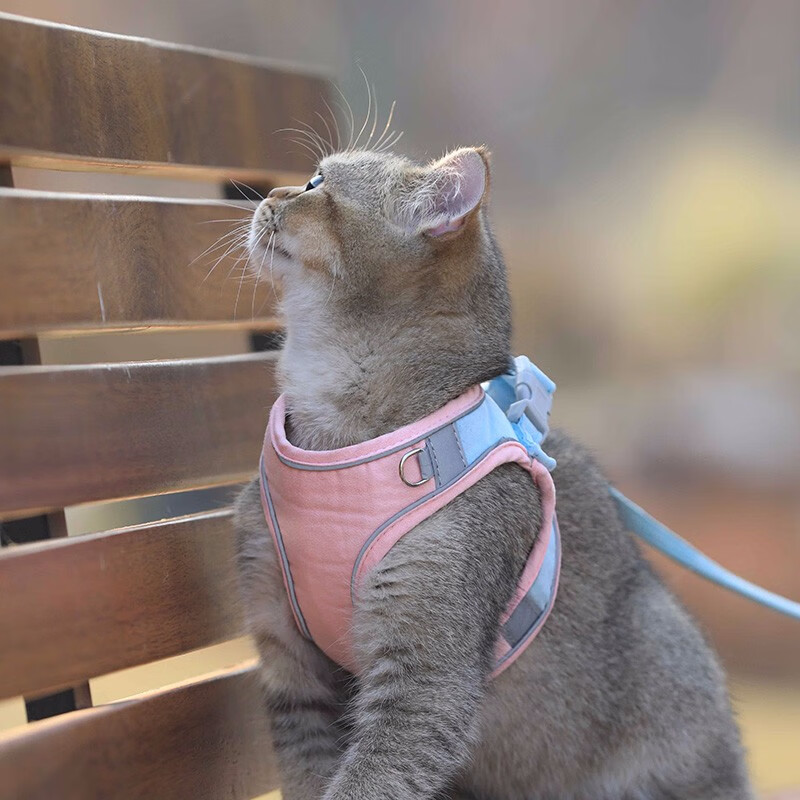猫咪牵引绳胸背带猫绳子猫带栓猫绳防挣脱外出溜猫绳猫链子项圈外出
