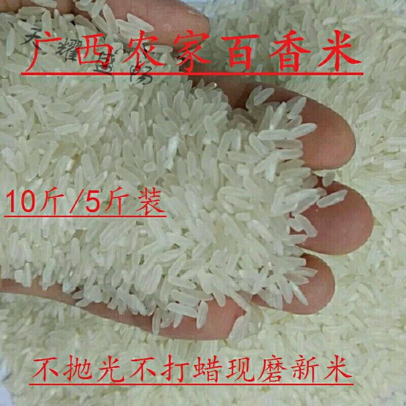 维霆广西贵港 农家自种新米大米富硒百香米丝苗米 好吃 5000g