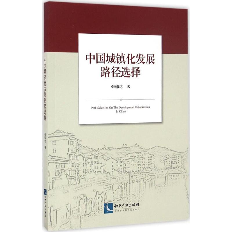 中国城镇化发展路径选择