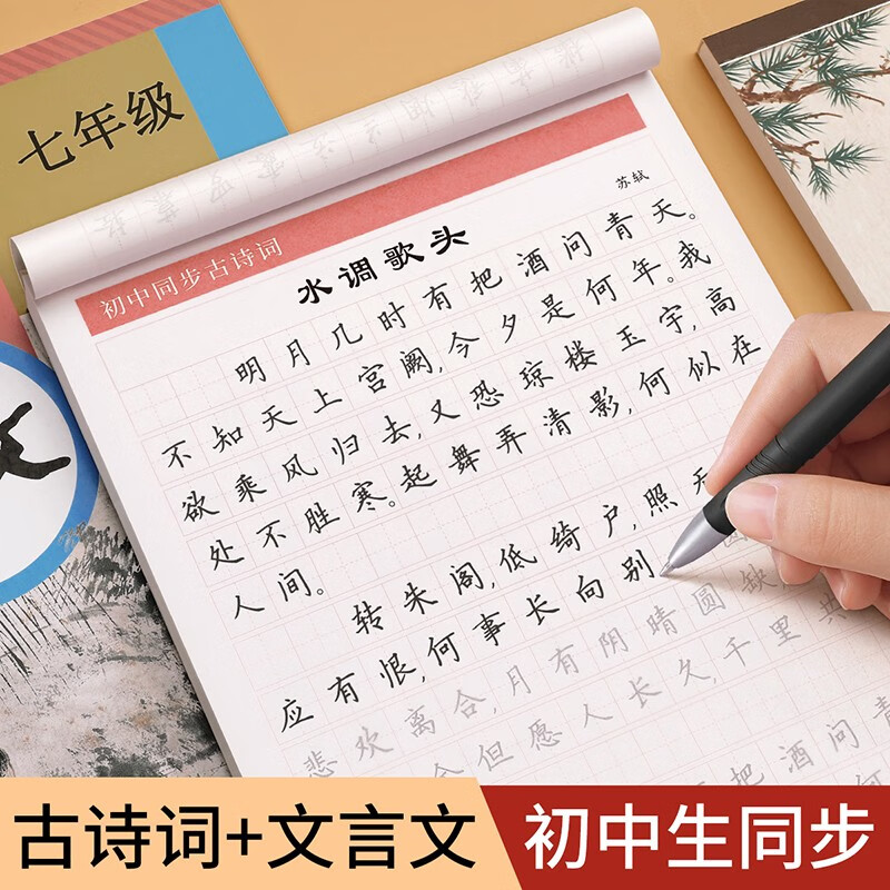 金枝叶初中生字帖楷书练字帖人教版语文同步字帖七八九年级高中必背古诗词文言文上册下册正楷钢笔练字硬笔书法临摹练字本 【初中】古诗词（1笔杆+10笔芯）