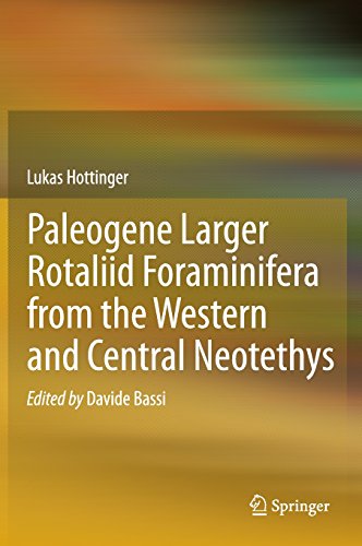 预订 paleogene larger rotaliid foraminifera from the western and