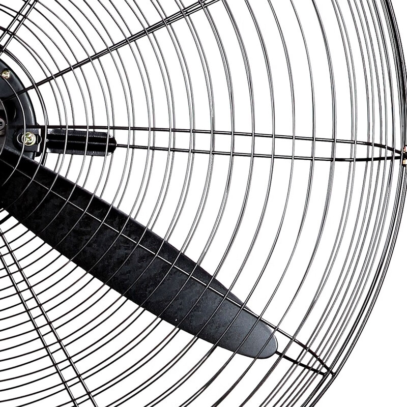 长城 工业风扇大风力电风扇强力落地式大风量牛角扇大功率商用吹除甲醛工厂车间工地立式摇头落地风扇 工业落地扇75CM网罩FL-75P