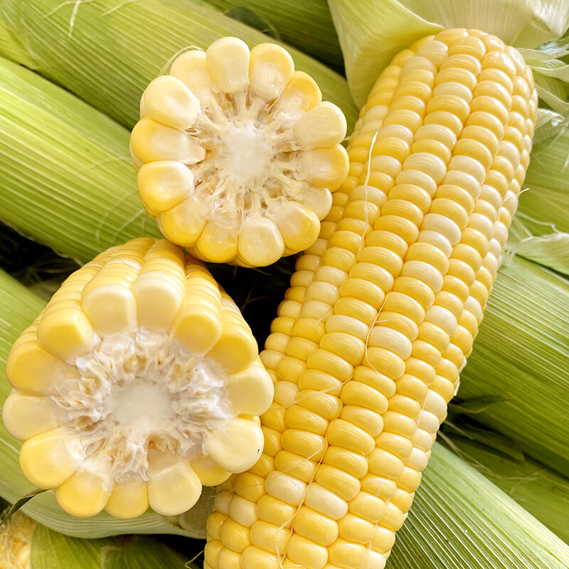 y东北玉米黑玉米棒水果玉米微甜新鲜甜糯现摘批发真空包装加热即食