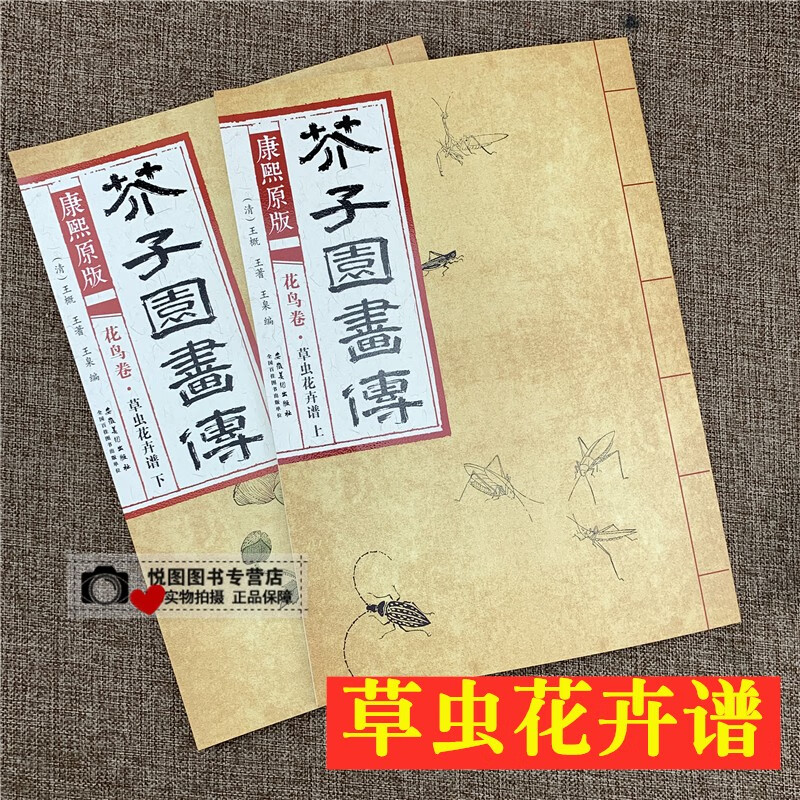 芥子园画传康熙原版8开彩色版国画临摹美术书籍安徽美术出版社 花鸟卷:草虫花卉谱