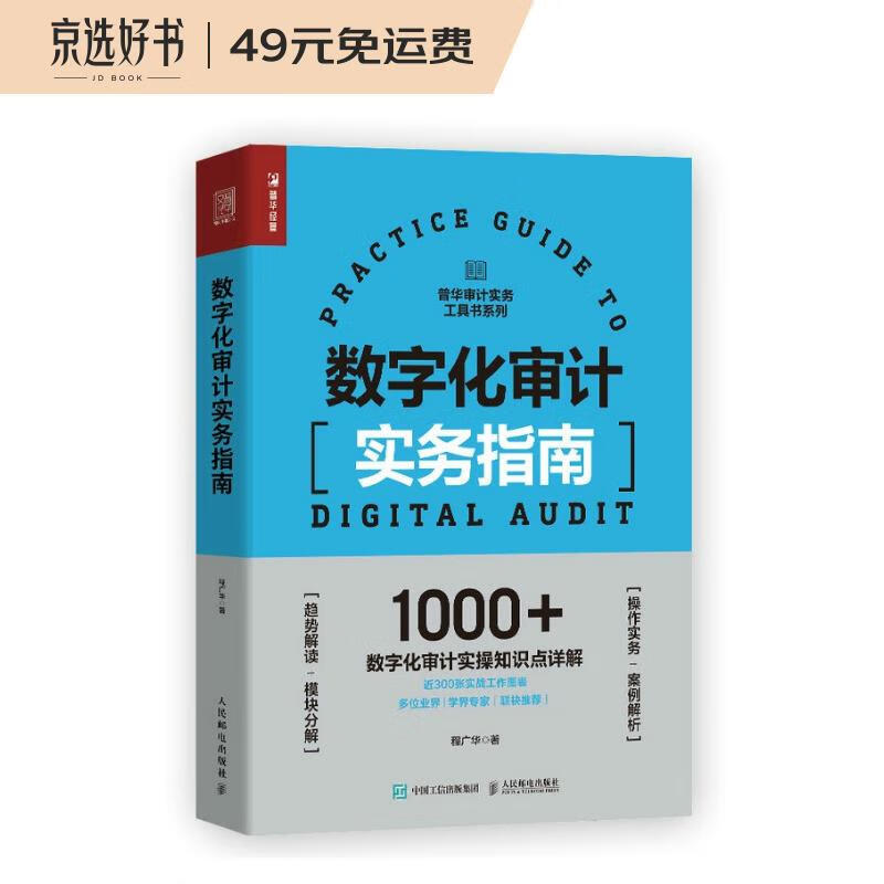 数字化审计实务指南（人邮普华出品）