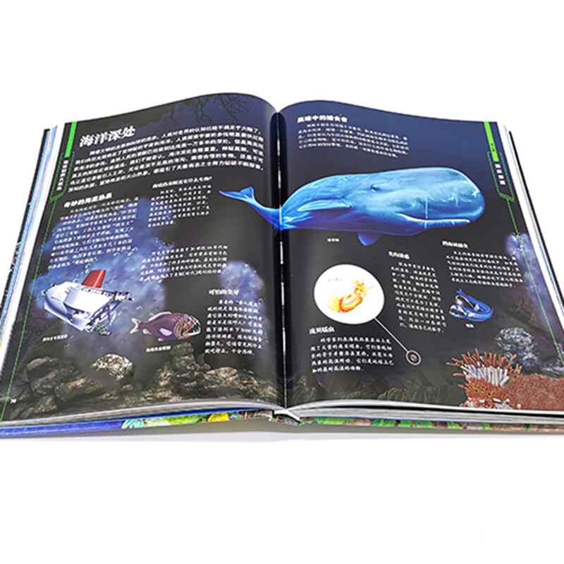 海洋世界大百科 李林春 青少年科普百科大全书 自然海底世界博物大全 儿童海洋世界自然科学生物科普书 少儿探秘海底动物