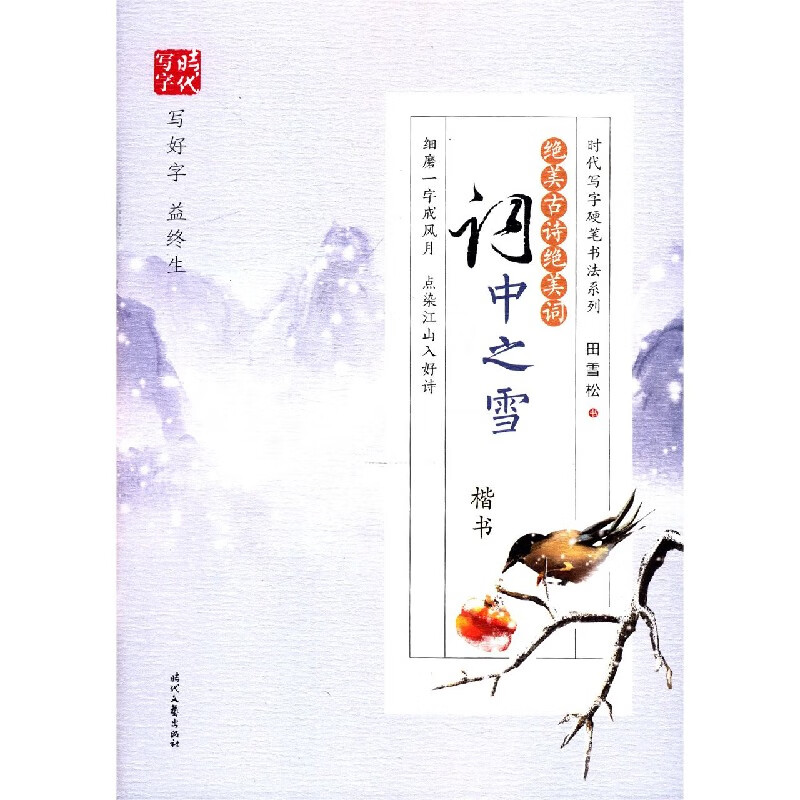 绝美古诗绝美词(词中之雪楷书)/时代写字硬笔书法系列