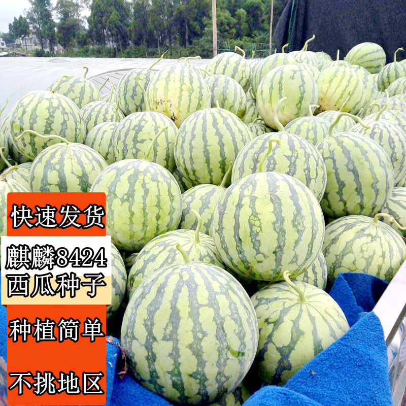 ������Ĭ�����������������������������ļ��������������8424��������� ������8424��ÿ��Լ50�� �����ԭ����װ��