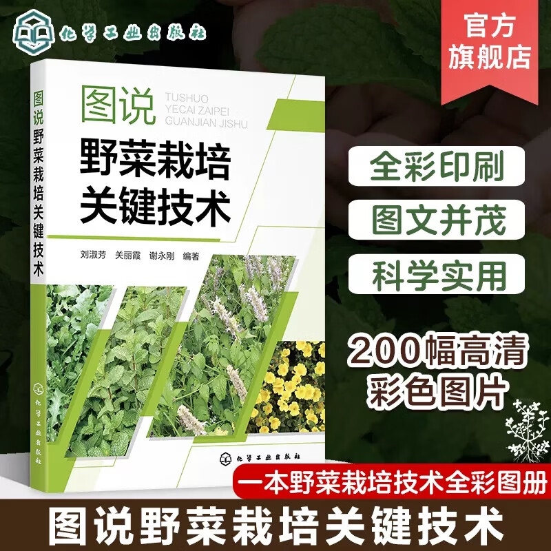 野菜前景与市场(野菜市场现状分析)