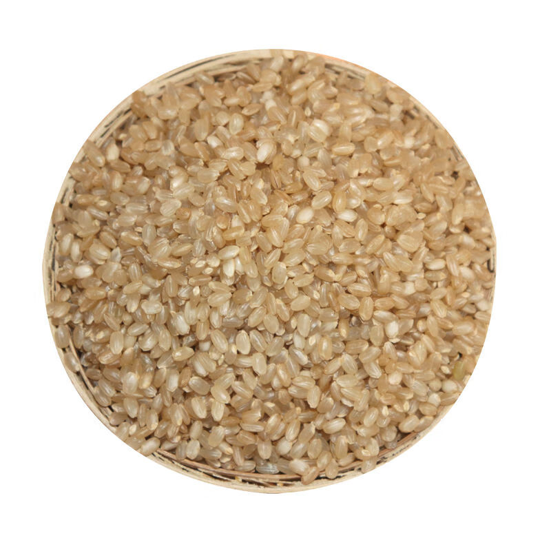 东北五常糙米五斤糙米糙大米玄米稻花香农家可发芽新米红米胚芽米 正宗糙米【5斤】