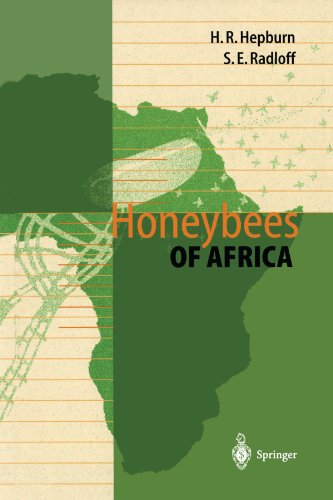 预订 Honeybees of Africa