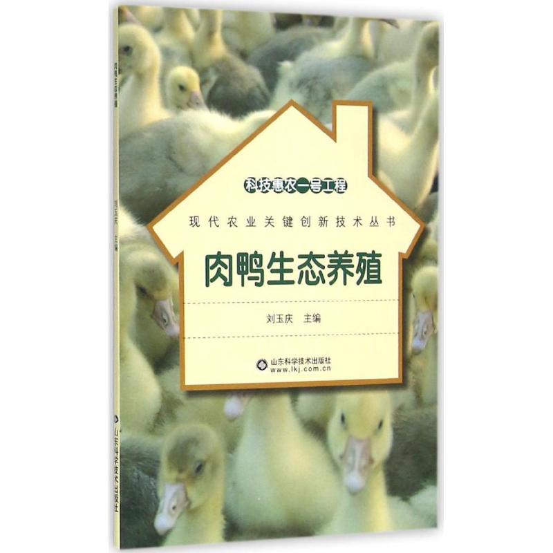 肉鸭生态养殖