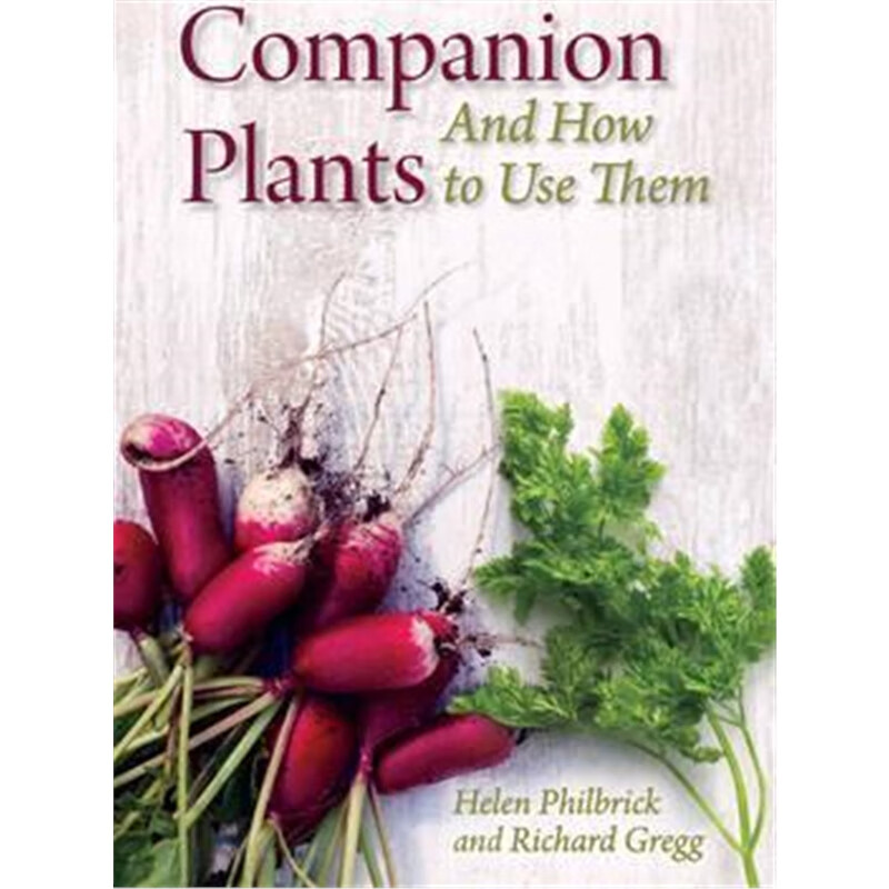 预订Companion Plants and How to Use Them
