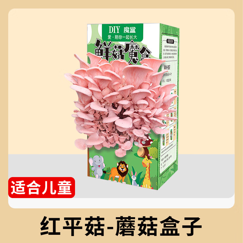 金雅特蘑菇种植菌包种植桶趣味儿童DIY养殖食用菌包盒子平菇 鲜菇魔盒【红平菇1盒】-九块九专栏-全利兔-实时优惠快报