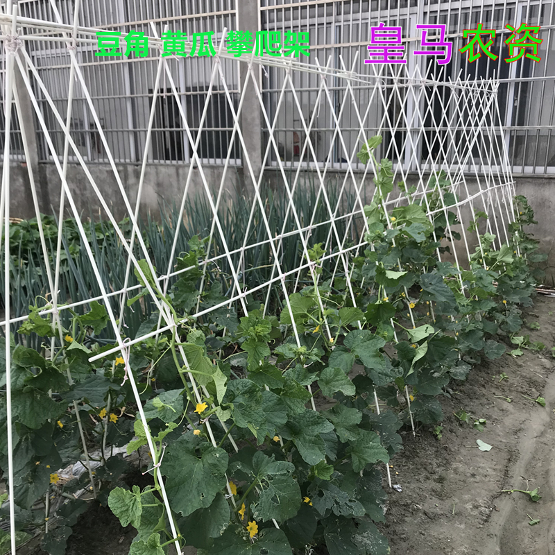 汐岩黄瓜架子爬藤架家用架杆植物支架攀爬豆角丝瓜藤架番茄茄子苗支撑