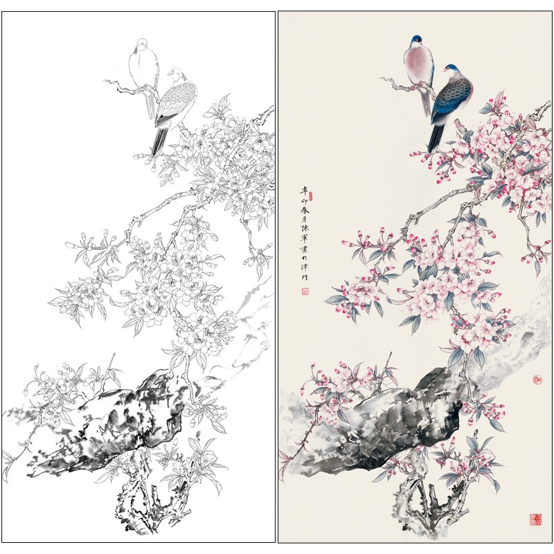 陈军工笔画白描底稿斑鸠海棠花四尺原大66×128厘米花鸟线稿带a3步骤