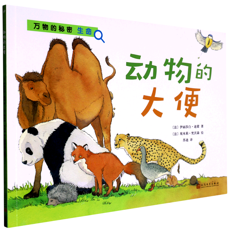 动物的大便/万物的秘密