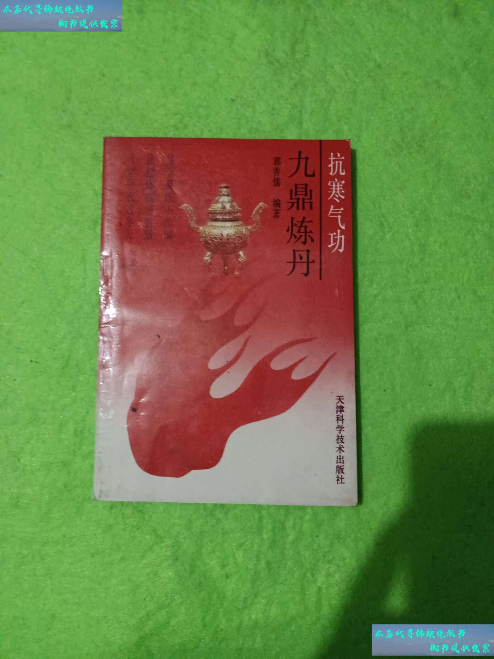 【二手书9成新】九鼎炼丹 /郭善儒 天津科学技术