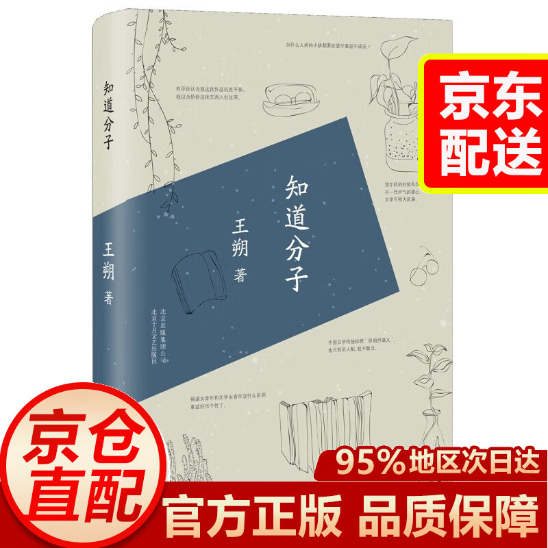 【京东配送.次日达】 起初·纪年 王朔新