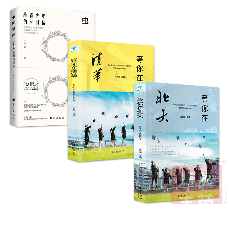 虫洞书简:给青少年的74封信 等你在清华北大 青少年的写作神器蔡康永