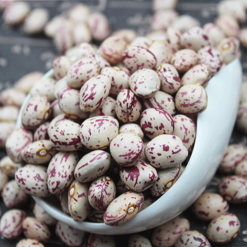 虎钢馋新货大粒奶花芸豆斤新货花芸豆贵州雀蛋豆花芸豆花生豆