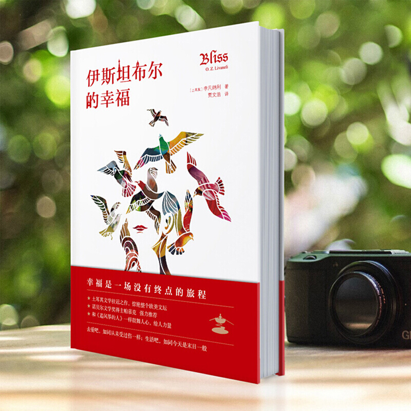 伊斯坦布尔的幸福