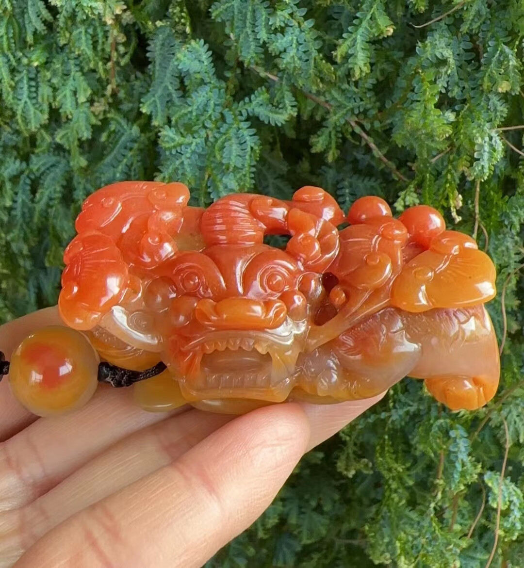 宝钰(k&k)云南黄龙玉鸽血红帝王黄精雕霸王貔貅手把玩件证书