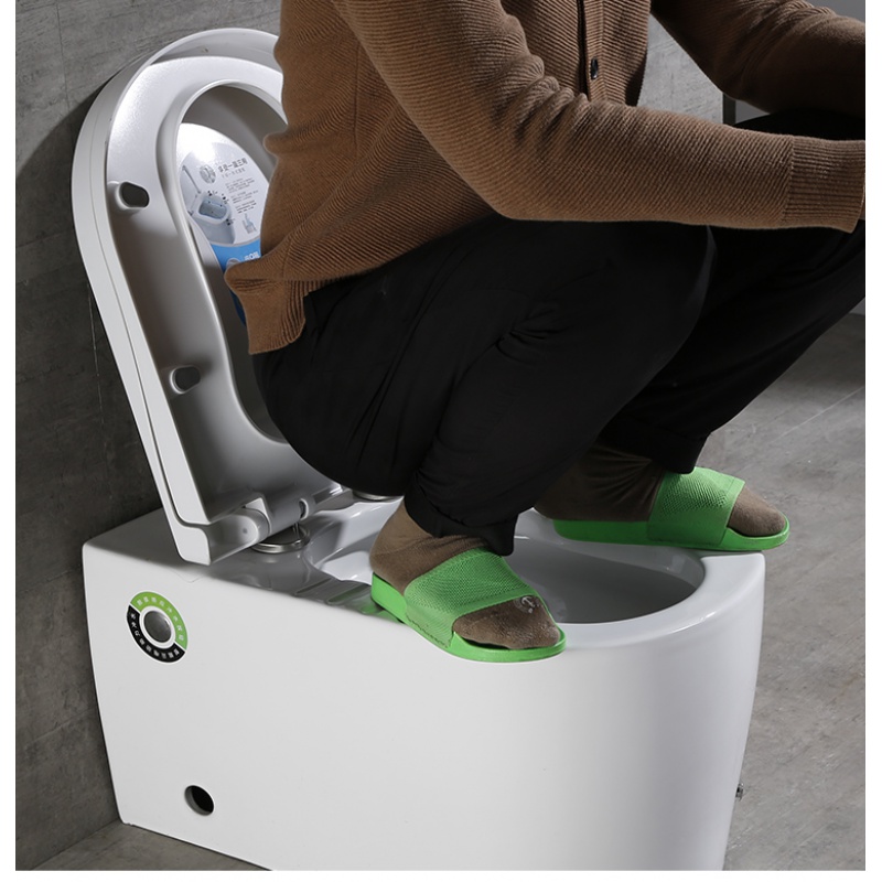 陶优洁(taoyoujie)蹲坐两用马桶一体式家用无水箱可蹲可坐脉冲小户型