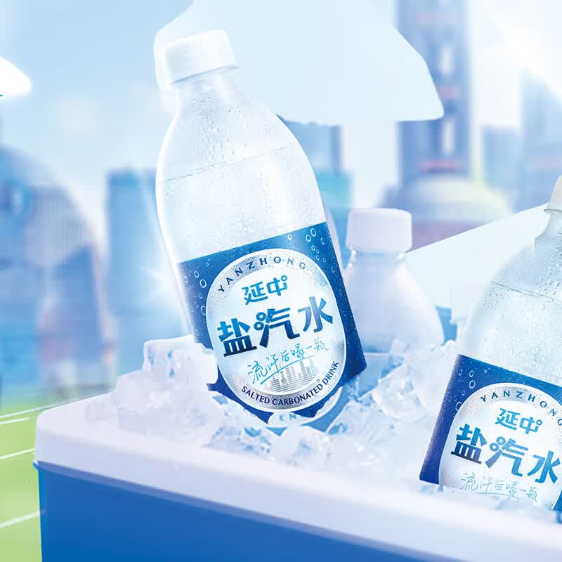 延中 经典原味盐汽水 饮料 600ml*20瓶 整箱怎么看?