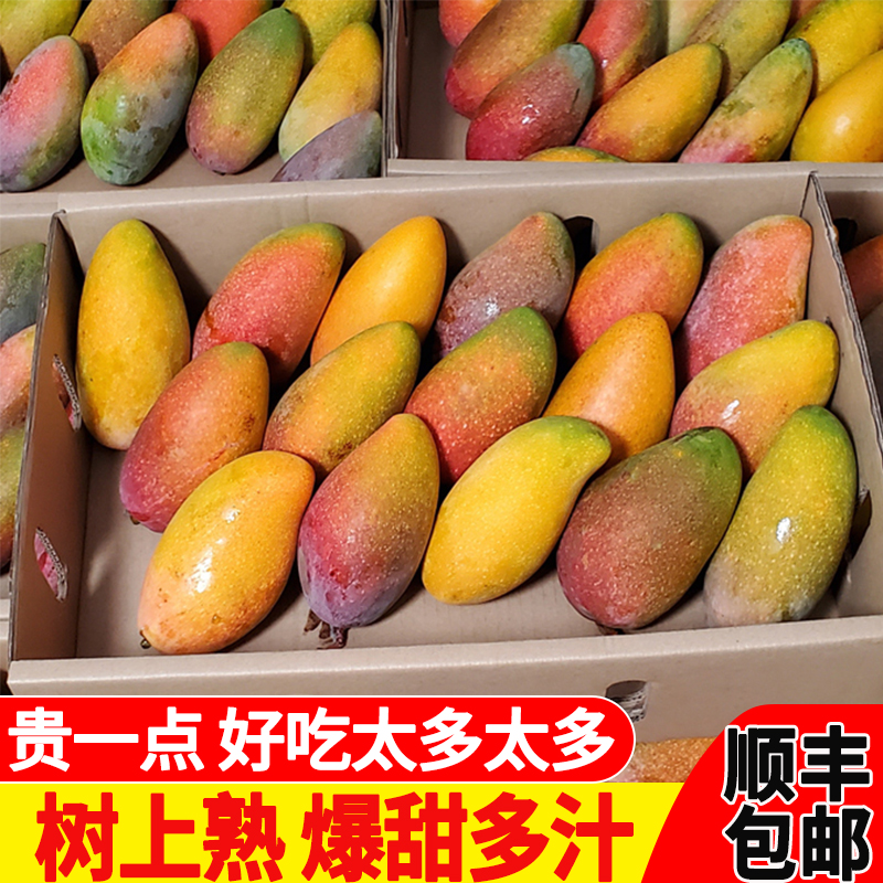 果恋汇（GUOLIANHUI）海南三亚树上熟贵妃芒当季小芒果新鲜水果当季现货整箱红金龙顺丰 净重9斤装（树上熟）