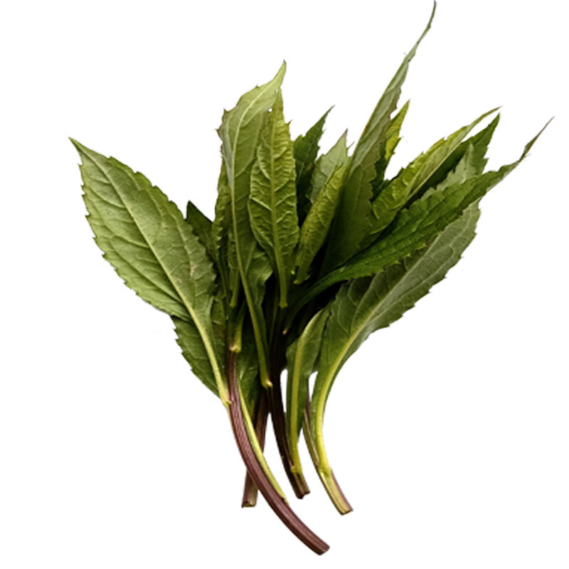 深山柴胡嫩尖大柴胡嫩芽新鲜时令蔬菜食用美味现摘现发野菜500g 500g