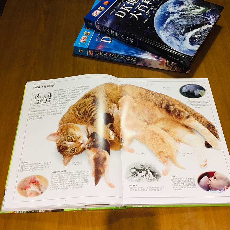 DK生物大百科(修订版)小猛犸童书(精装)暑假阅读暑假课外书课外暑假自主阅读暑期假期读物详情图