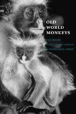 预订 Old World Monkeys