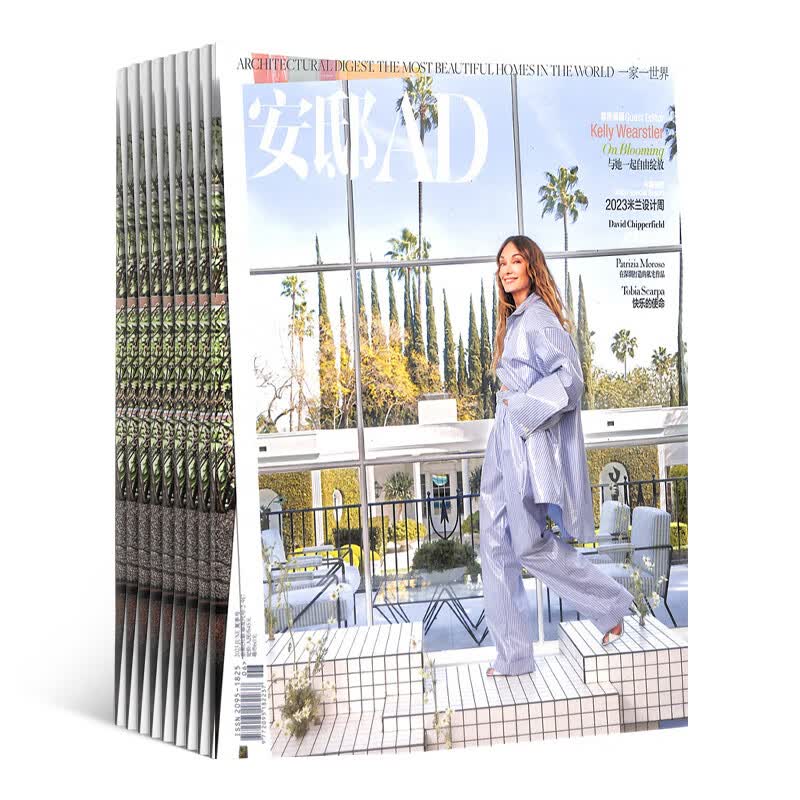 安邸AD杂志预订 2024年1月起订阅 1年共4期 杂志铺每月快递 全年订阅 家居建筑装修家居装饰 造型设计时尚达人 有关家与生活的高品位生活态度 汇通中西文化 家居建筑装修专业期刊杂志属于什么档次？