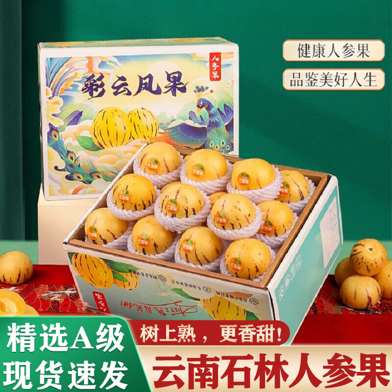 译蒙之味云南人参果礼盒装送礼佳品新鲜人参果黄果树上熟圆果特产 净重5斤果王【单果110g+】礼盒 精美礼盒
