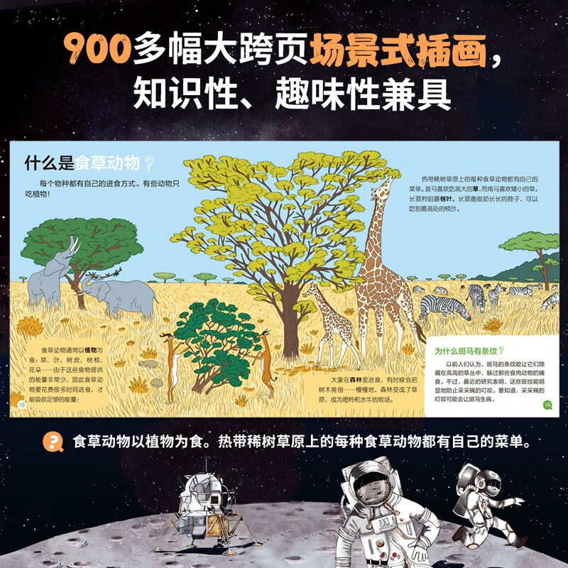 我的小问题 第4-6辑(共25册礼盒装) 4-8岁科普启蒙绘本亲子阅读儿童书籍博物大百科十万个为什么满足好奇心 礼物礼品书儿童节礼物 我的小问题 第4-6辑礼盒装