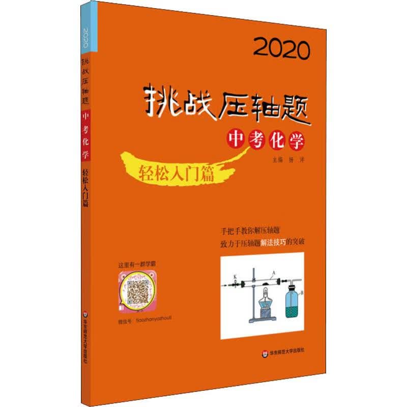 挑战压轴题 中考化学 轻松入门篇 2020