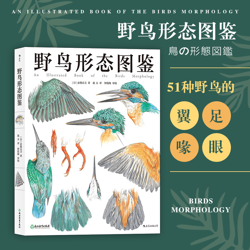 野鸟形态图鉴 鸟类观察 季节风物诗 鸣虫文化 直翅目昆虫 蟋蟀 螽斯 儿童科普博物学科学绘画自然保育书籍